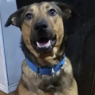 Buster