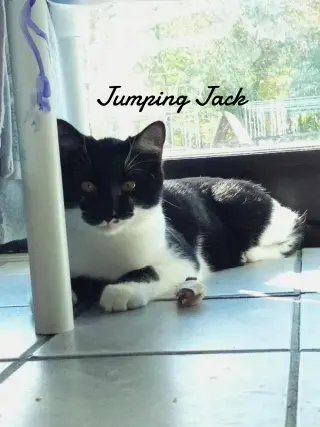Jumping Jack