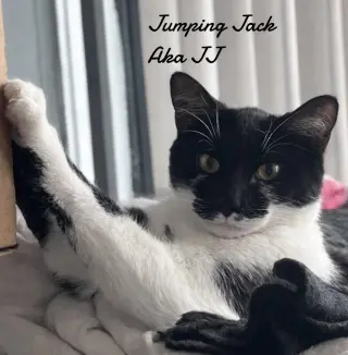 Jumping Jack