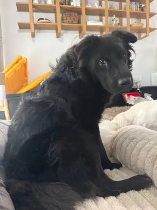 AERO