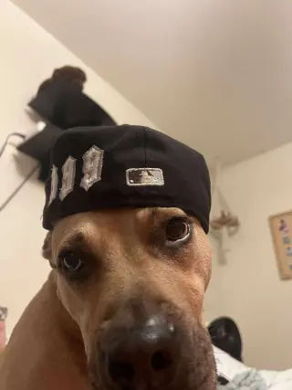 Honey Potato