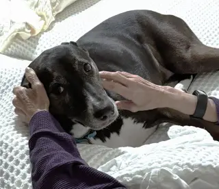 Rosie