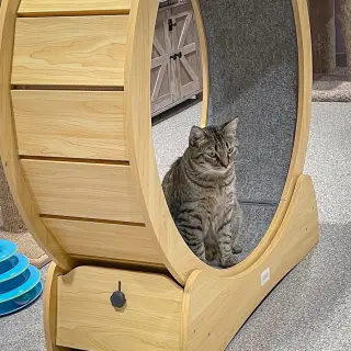 Tigs