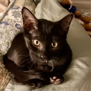 Zita