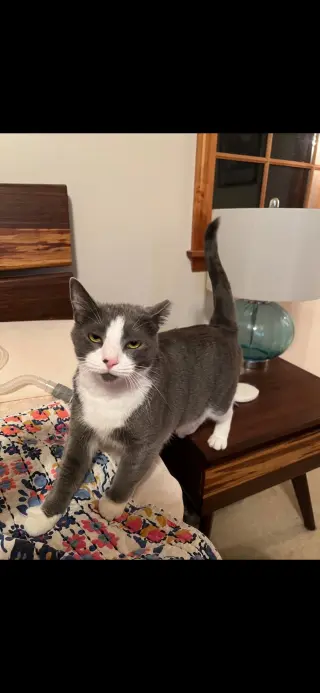 Oliver