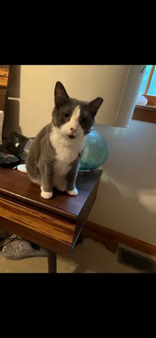 Oliver