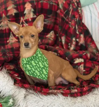 Fiona