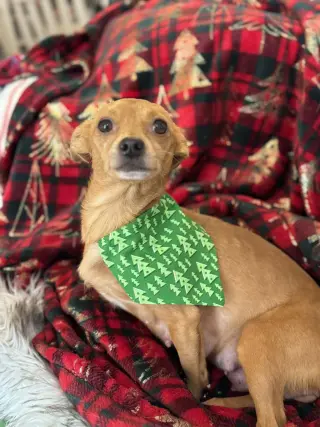 Fiona