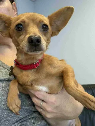 Fiona