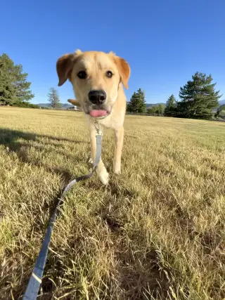 Ernie