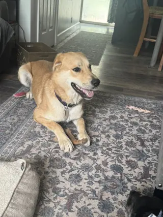 Ernie