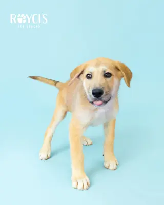 Ernie