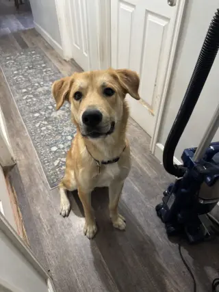 Ernie