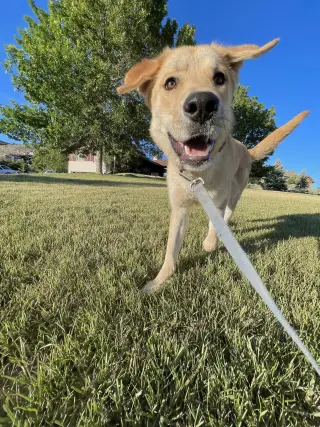 Ernie