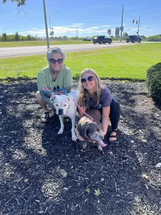Lady aka Ladybug - BONDED WITH LEO!!