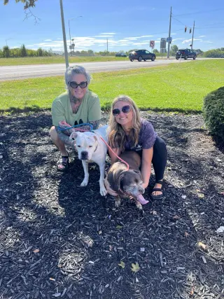 Leo - BONDED WITH LADY AKA LADYBUG