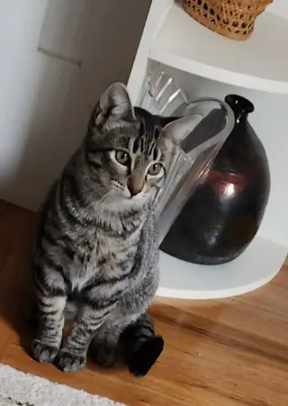 Vera