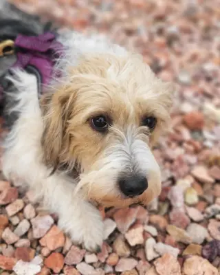 Jilly