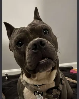 Max