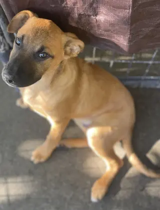 Charlie