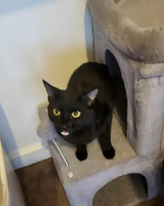 Chiquita