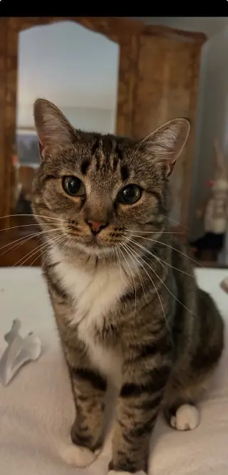 MARNIE - $150/Mo. FOSTER!! Perm Even Better!!