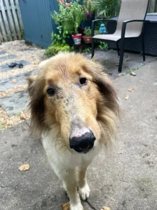 Charlie