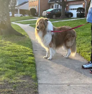 Charlie