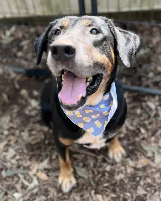 Rubble--Foster needed!