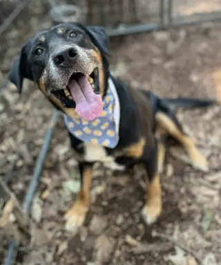 Rubble--Foster needed!