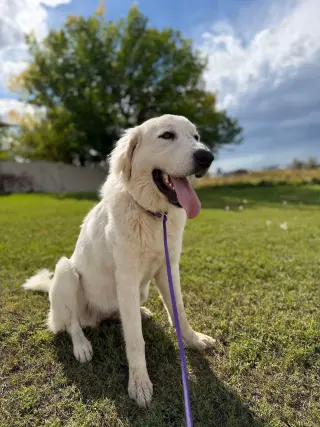 Ellie