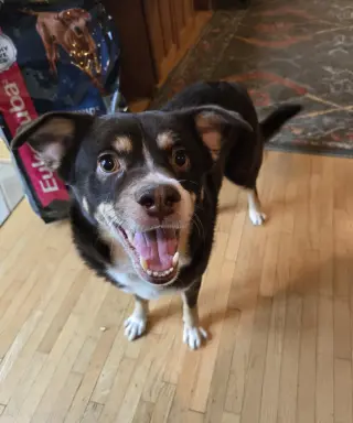 Rico