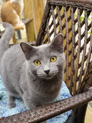 Flint
