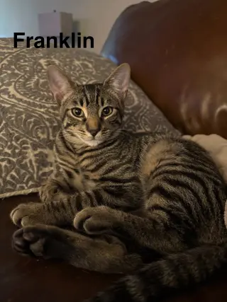 Franklin