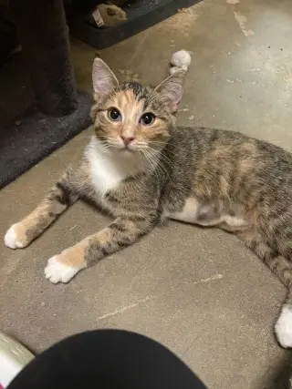 Ruby
