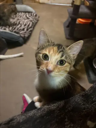 Ruby