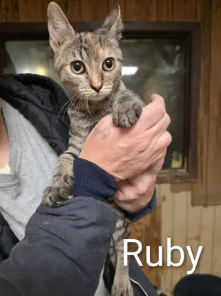 Ruby