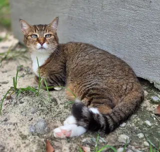 Sarah