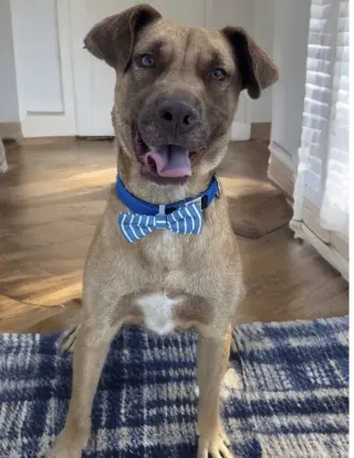 Aiden *courtesy post