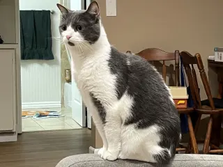 binx
