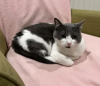 binx