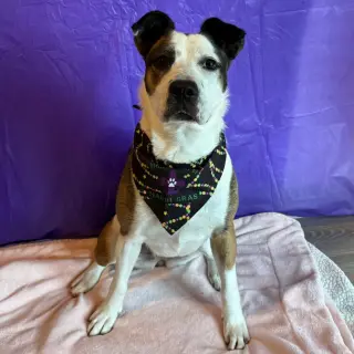Maggie