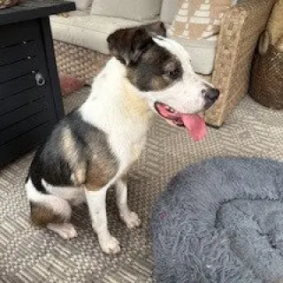 Maggie