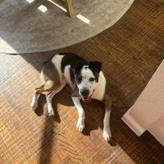Maggie