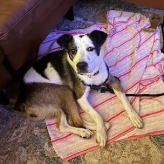 Maggie