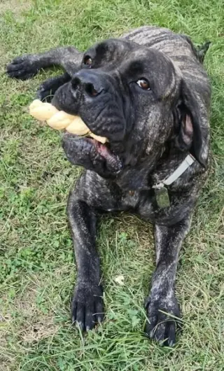 Nora
