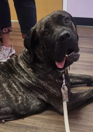 Nora