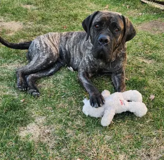 Nora