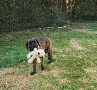 Nora