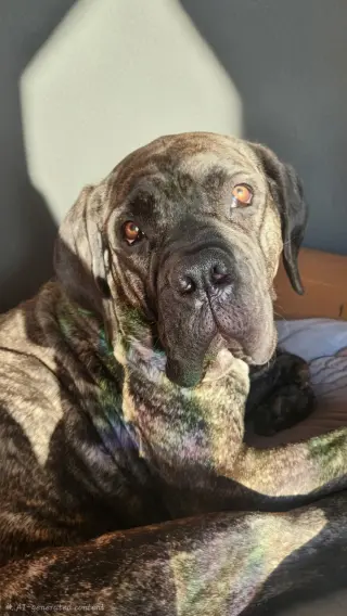 Nora